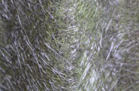 Kirkby Malham fibreglass roof work